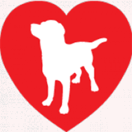 comforttravelinsurance.com