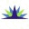 divinelines.org