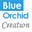 blueorchidcreation.com