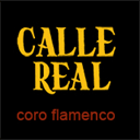 calle-real.nl