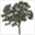 myreforestation.com