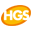 hgs-seelze.de