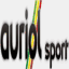 auriolsport.com