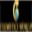 cosmeticsworld.net