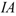 iavtomaty.com