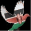 solutionskenya.wordpress.com