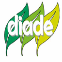 diade-research.fr