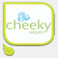 cheekywipes.co.nz