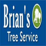 brians-tree-service.com