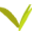verdurecorp.com