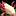 axolotl.naetoo.com