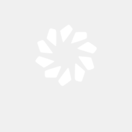 openlion.net