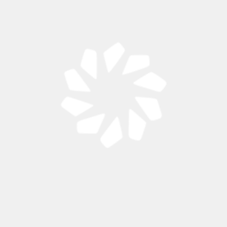openlion.net