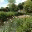 lamonamia.wordpress.com