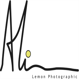 lemonphotographic.com