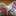 poussinbleu.over-blog.fr
