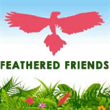 feenixx-gallery.com