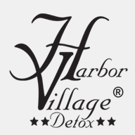 harborvillageflorida.com