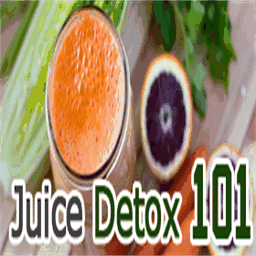 juicedetox101.com