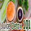 juicedetox101.com