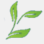agroproiect.ro