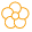 ideasinbloom.ca