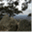 emergingenvironments.wordpress.com