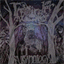 treeminder.bandcamp.com