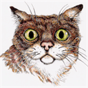 lisabogle.com