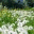kutelamia.wordpress.com