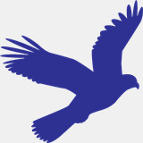 falcon.norfolk.sch.uk