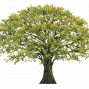 newlandscapemediation.co.uk