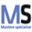 ms-mip.com