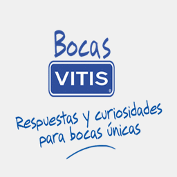 bocasvitis.com