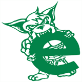 greenmonsterecycling.com