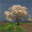 laurent.chouteau.over-blog.com