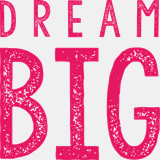 dreambigfestival.com
