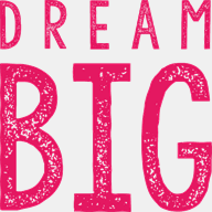 dreambigfestival.com