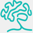 branchoutfoundation.com