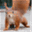 weeredsquirrel.wordpress.com