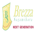 nex-g.brezza-sagamihara.com