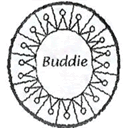 buthocgioi.com