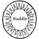 buthocgioi.com