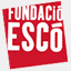 fnesco.org