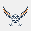 atousa-amirabedini.com