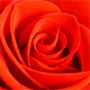 vakantiewoninggulpen-wittem.nl