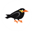 beo-software.in