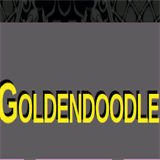 goldendoodledandies.com