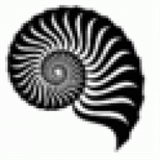 odcsystem.net
