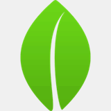 coconutgroverentals.net